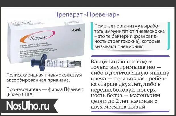 Можно сделать прививку от пневмонии. Первая вакцинация против пневмококковой инфекции название вакцины. прививка от пневмококковой инфекции детям превенар. прививка от пневмококка детям превенар. превенар 13 прививка от пневмонии.