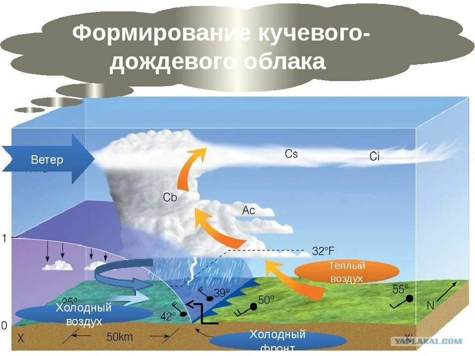 Холодный воздух опускается вниз. Образование облаков в атмосфере. Циркуляция холодного воздуха. Структура грозового облака. Формирование облаков.