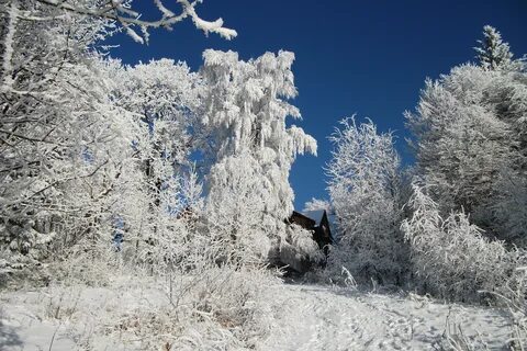 Зима казалось начала