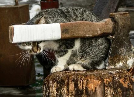 Немного интересного
