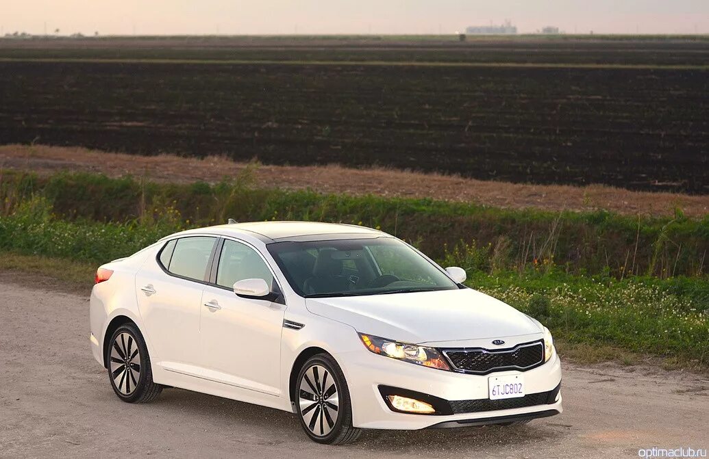 Optima est. Kia Optima 2011. Киа Оптима 2011-2012. Kia Kia Optima 2011. Kia Optima 2011 White.