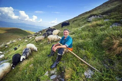 В горах барашка пас песня