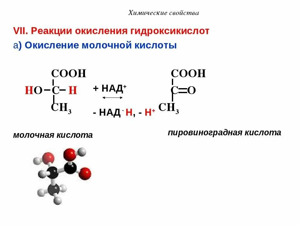 Эпоксидирование по прилежаеву. Механизм эпоксидирования алкенов. Уравнение реакции образования молочной кислоты из пировиноградной. Непрямое дезаминирование глутамата. Окисление молочной кислоты в пировиноградную.
