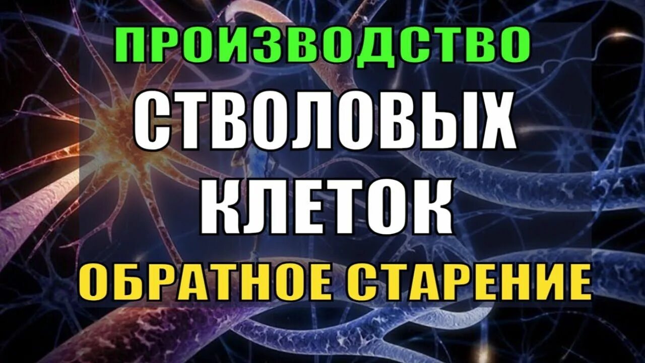 Гаряев матрица оздоровления и омоложения. Квантовое омоложение. квантовое омоложение. создание стволовых клеток. клеточное исцеление. регенерация клеток квантовое исцеление звуковая матрица.
