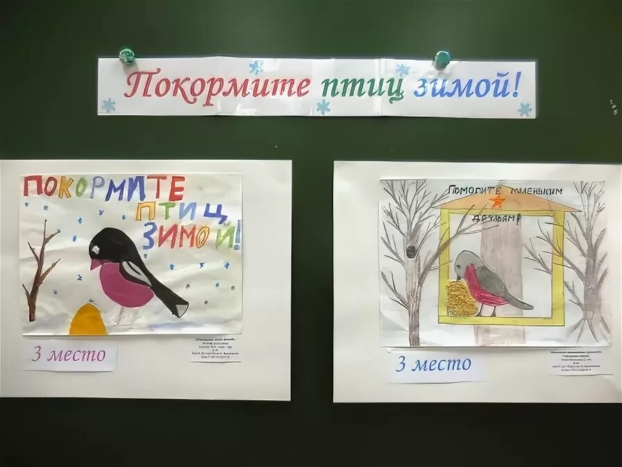 Берегите птиц. Берегите птиц одежда. Плакат берегите птиц. Берегите птиц одежда. Берегите птиц.