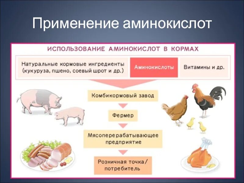 Использование аминокислот. Применение аминокислот. аминокислоты в промышленности. аминокислоты в медицине. области применения аминокислот.
