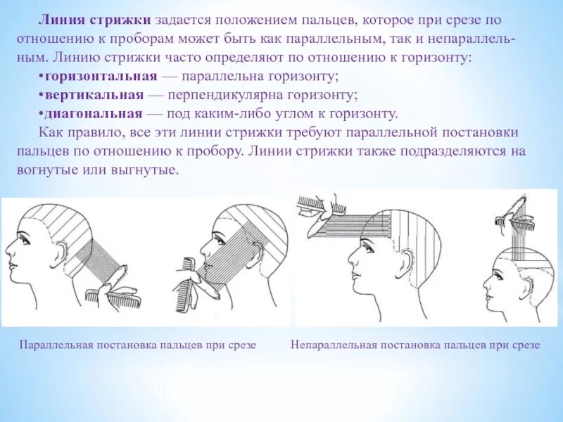 Параллельная постановка пальцев при стрижке это. Схемы стрижек. Линия среза это в стрижке. Срез при стрижке схема. Подстричь текст