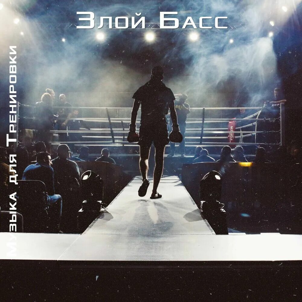 Злой басс. 7 Ряд Fight Nite.