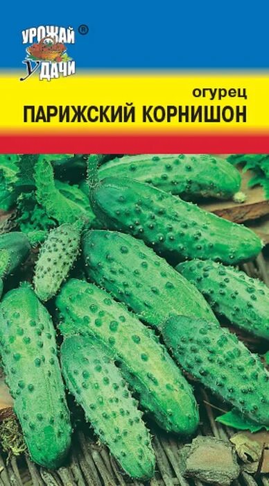 Фото огурцов парижский корнишон. Огурец Парижский корнишон. Сорт огурцов Парижский корнишон. Французский корнишон огурцы. Огурец Парижский корнишон 0,3 г. хит х3.