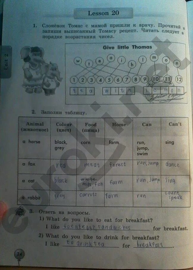 Английский язык 3 класс рабочая тетрадь биболетова стр 24. Стр 24 рабочая тетрадь английский язык рабочая тетрадь биболетова. Рабочая тетрадь по английскому языку 3 класс биболетова. Английский язык биболетова класс стр 24.