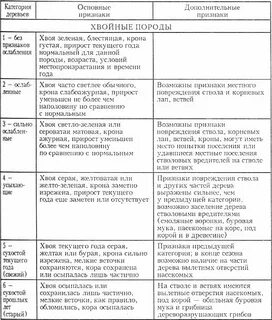 Дерево какое состояние