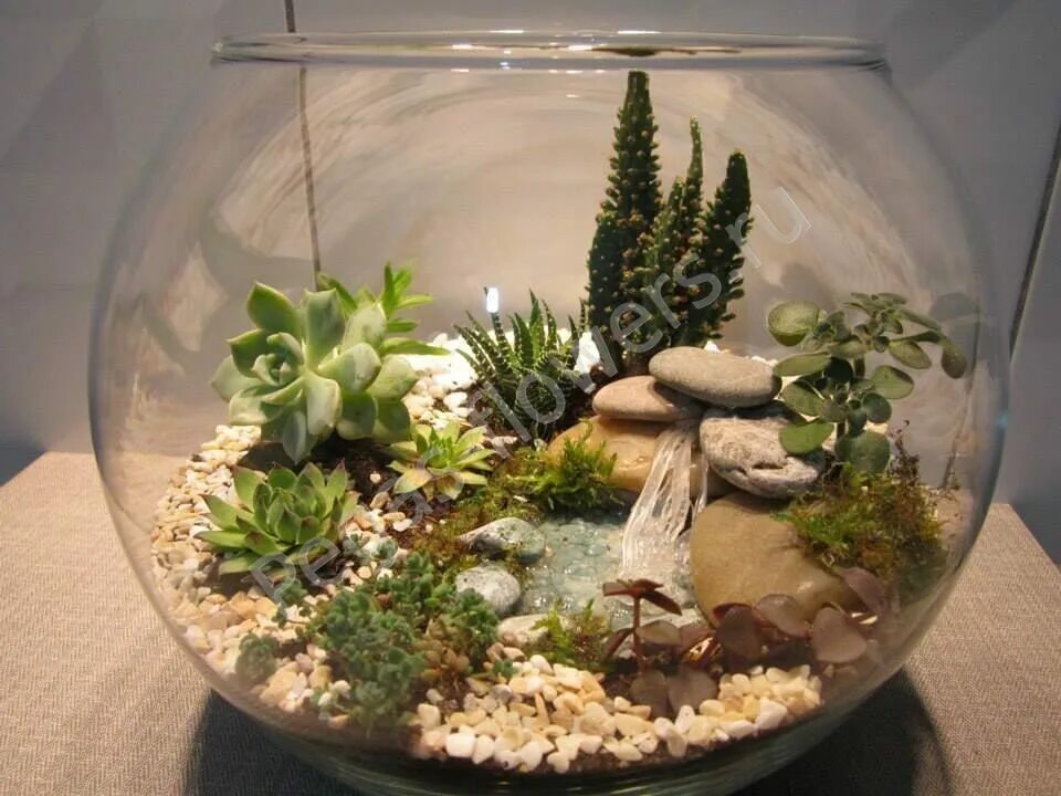 Как называется аквариум. Флорариум гравитариум. Как называется аквариум. Ночник детский feng yuang светильник "аквариум". Террариум флорариум водопад.