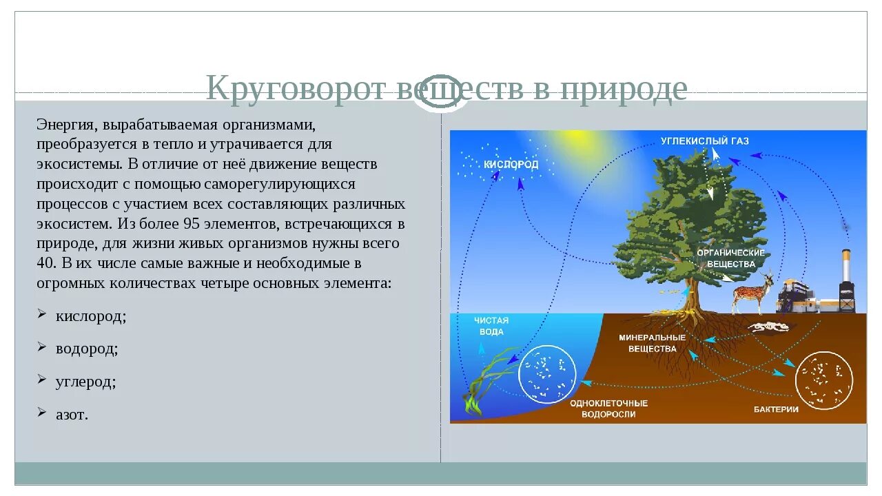 В чем заключается круговорот веществ природе