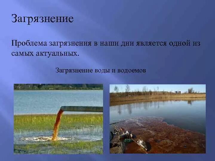 Экологические катастрофы России и их причины План