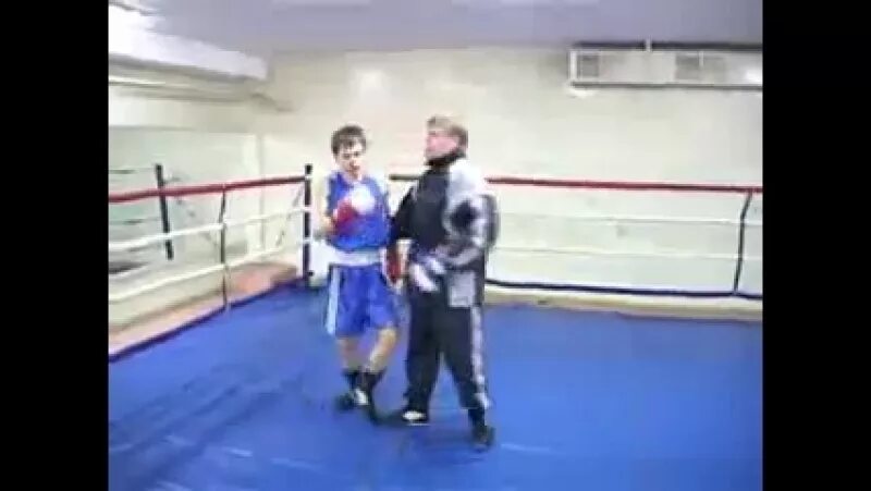 Гала боксер. Гала боксер. Гала боксер. Гала боксер. Гала боксер.