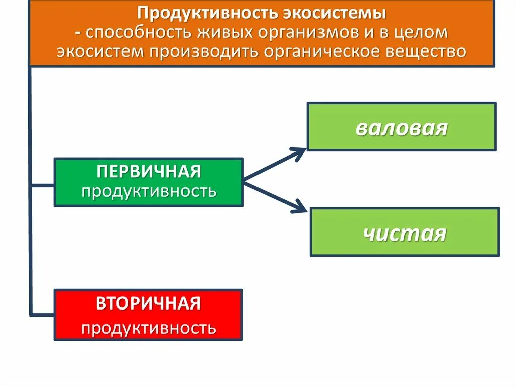 Большая биомасса первичной продукции. Продуктивность экосистем первичная Валовая продукция. Первичная и вторичная продукция экосистем. Продуктивность экосисте ы. Продуктивность агроэкосистемы.