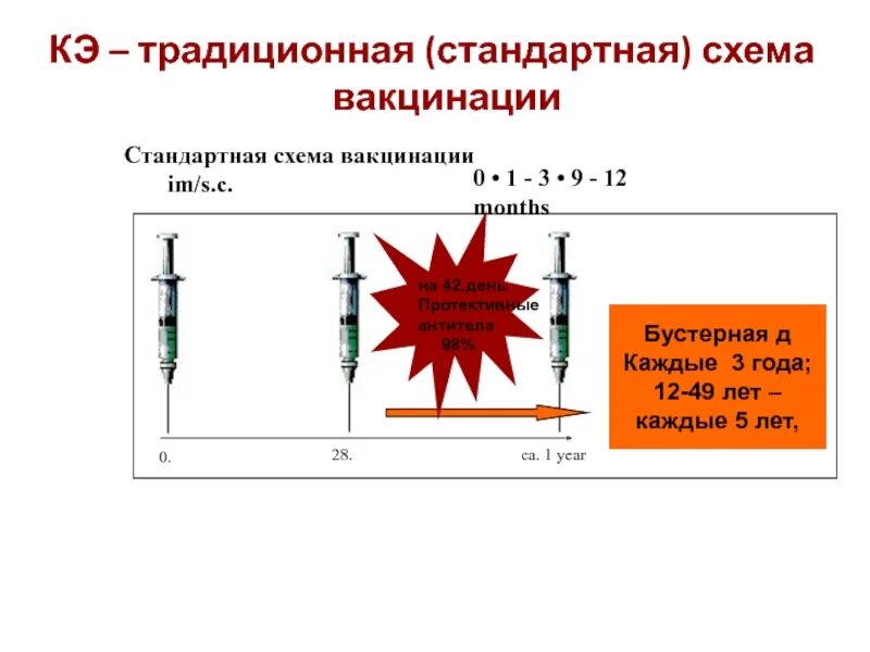 Против клещевого энцефалита схема. Прививка о клещевого энцефалита схема вакцинации. Клещевой энцефалит вакцинация схема. Прививка против клещевого энцефалита схема вакцинации. Вакцина клещевого энцефалита схема вакцинации.