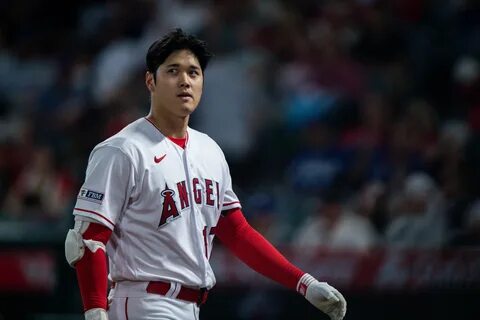 2024 年 の ア メ リ カ は"ニ ュ--ベ-ブ-ル-ス"の 年 に 