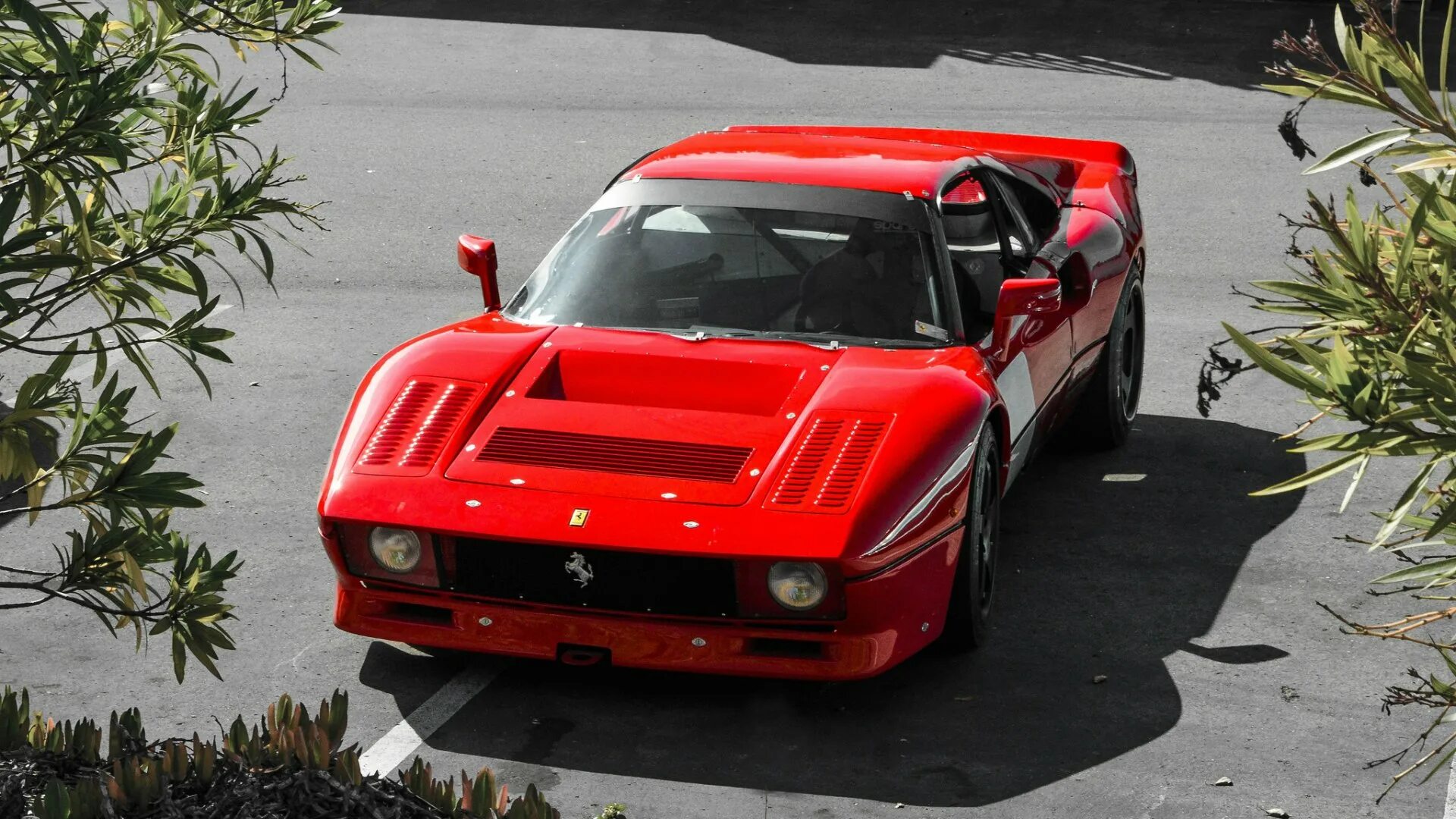 Ferrari 288 gto. Ferrari 288 GTO Green. Феррари 388 GTO. Ferrari 288 GTO Tuning.