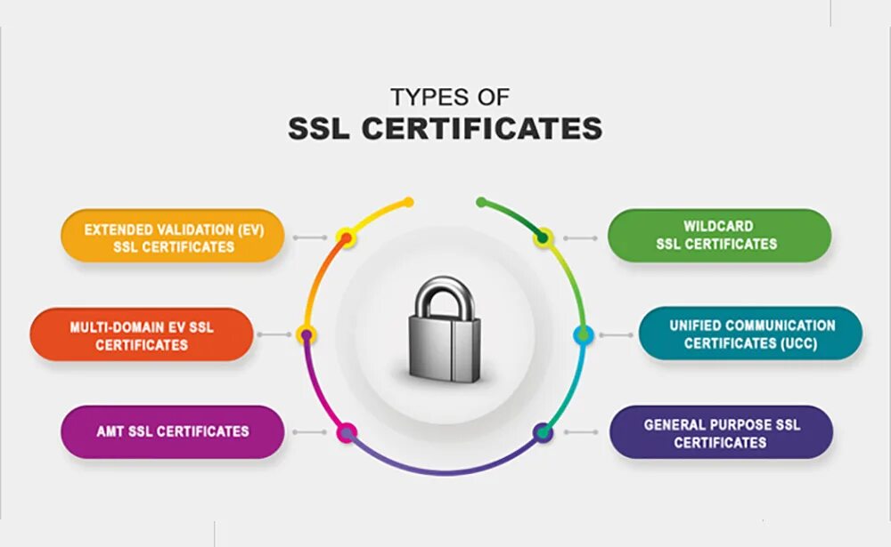 SSL сертификат. Виды сертификатов SSL. ССЛ сертификат. SSL сертификат схема.