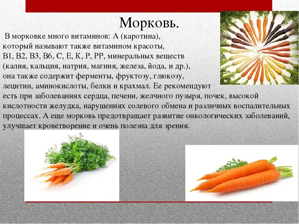 Витамины в моркови печени. Морковь витамины содержит. Какие витамины в моркови. Витамины содержащиеся в морковке. Полезные вещества в моркови.