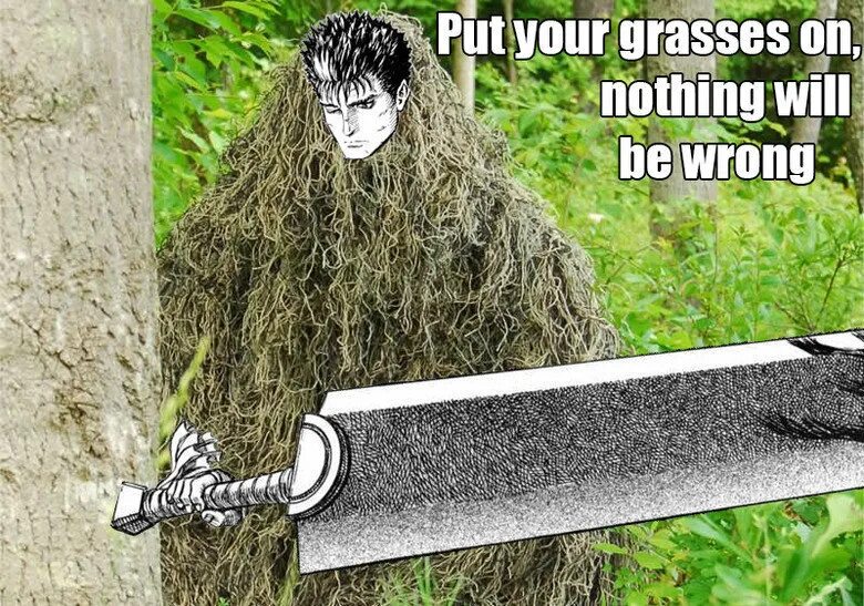 Берсерк Мем. Берсерк мемы. Put your grasses on. Berserk grasses. You put this on your