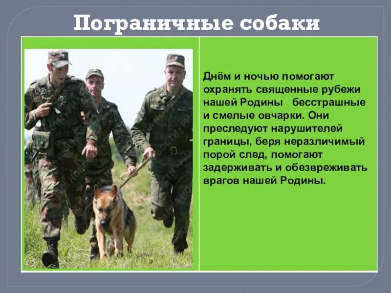 Как называют пограничников