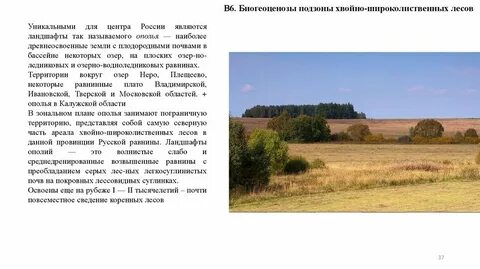 Почвы русской равнины