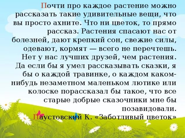 Цветы на паустовского. Заботливый цветок Паустовский. Рассказ Паустовского заботливый цветок. Цветы рассказ Паустовского.