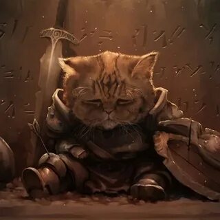 Кот рыцарь