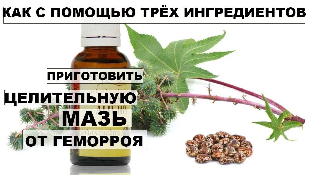 Масло от геморроя. Геморрой касторовое масло. народные средства от геморроя. мазь клещевина.