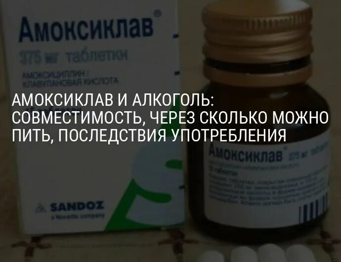 Можно пить пиво при приеме антибиотиков. Амоксиклав и алкоголь совместимость. Амоксиклав и алкоголь совместимость и последствия. Что пьют с антибиотиками амоксиклав.