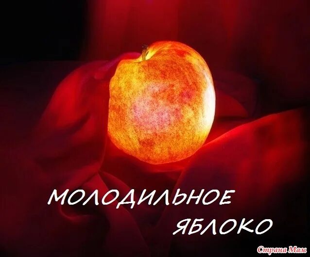 яблоня и молодильные яблочки. стихи про молодильное яблочко. молодильное яблочко сувенир. молодильные яблоки. яблоня с молодильными яблоками.