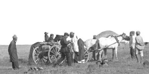 Тәжікстан секс видео 2011