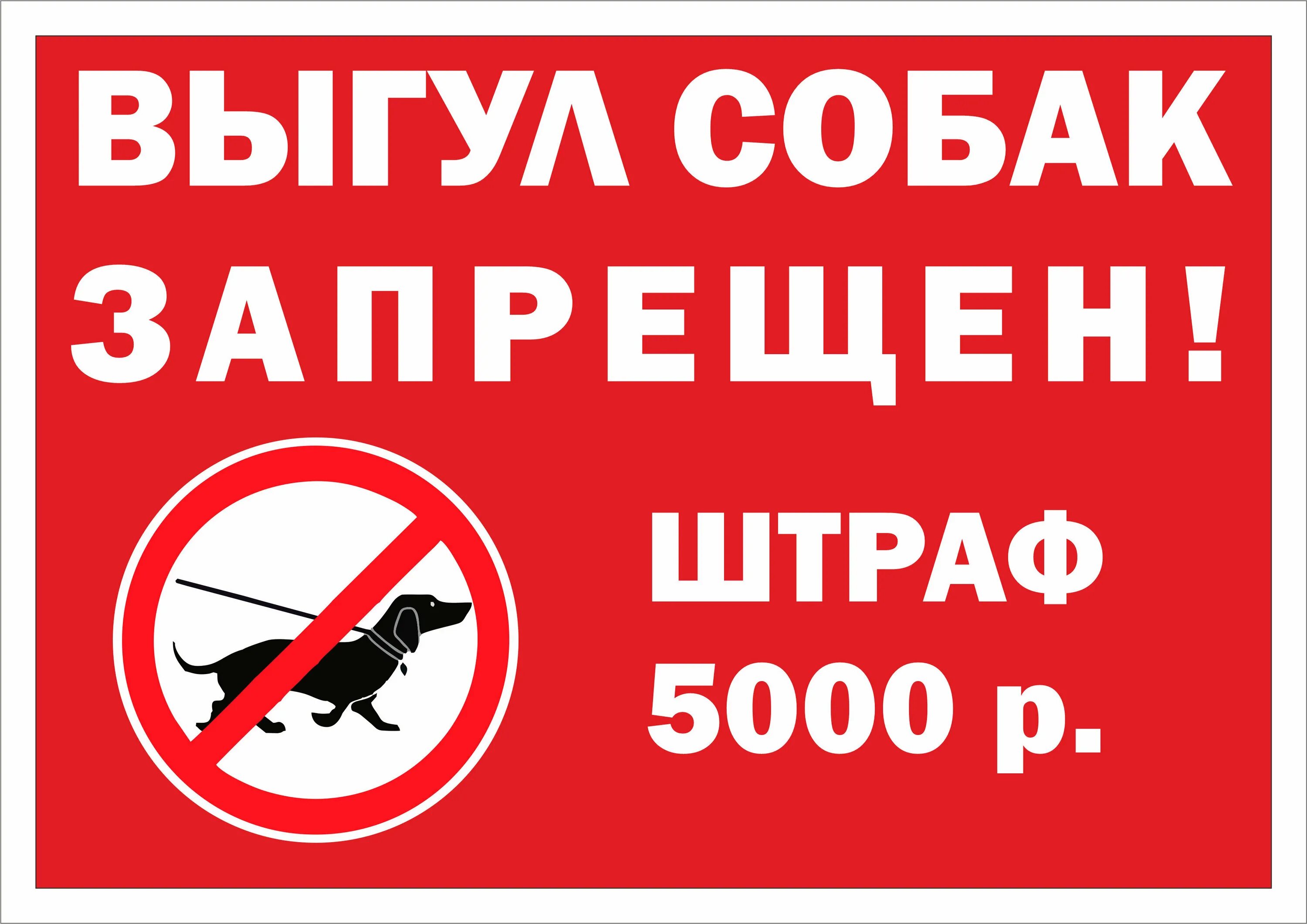 Выгул собак без намордника и поводка. Знак запрета выгула собак. Выгул собак наказание. Табличка о запрете выгула собак. Выгул собак наказание.