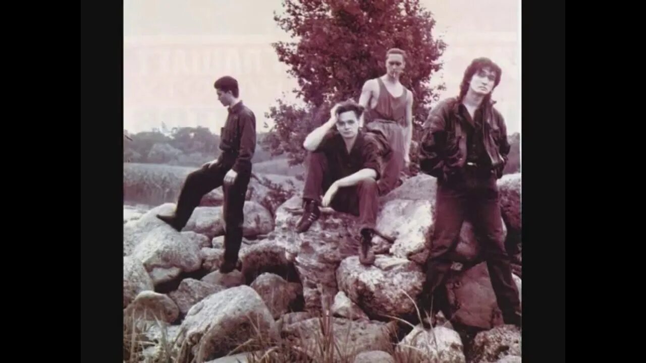 Виктор цой с огурцом. Цой алюминиевые огурцы слова. Песня цоя алюминиевые. Цой с огурцом. Я сажаю алюминиевые огурцы.