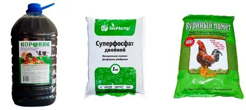 Коровяк удобрение