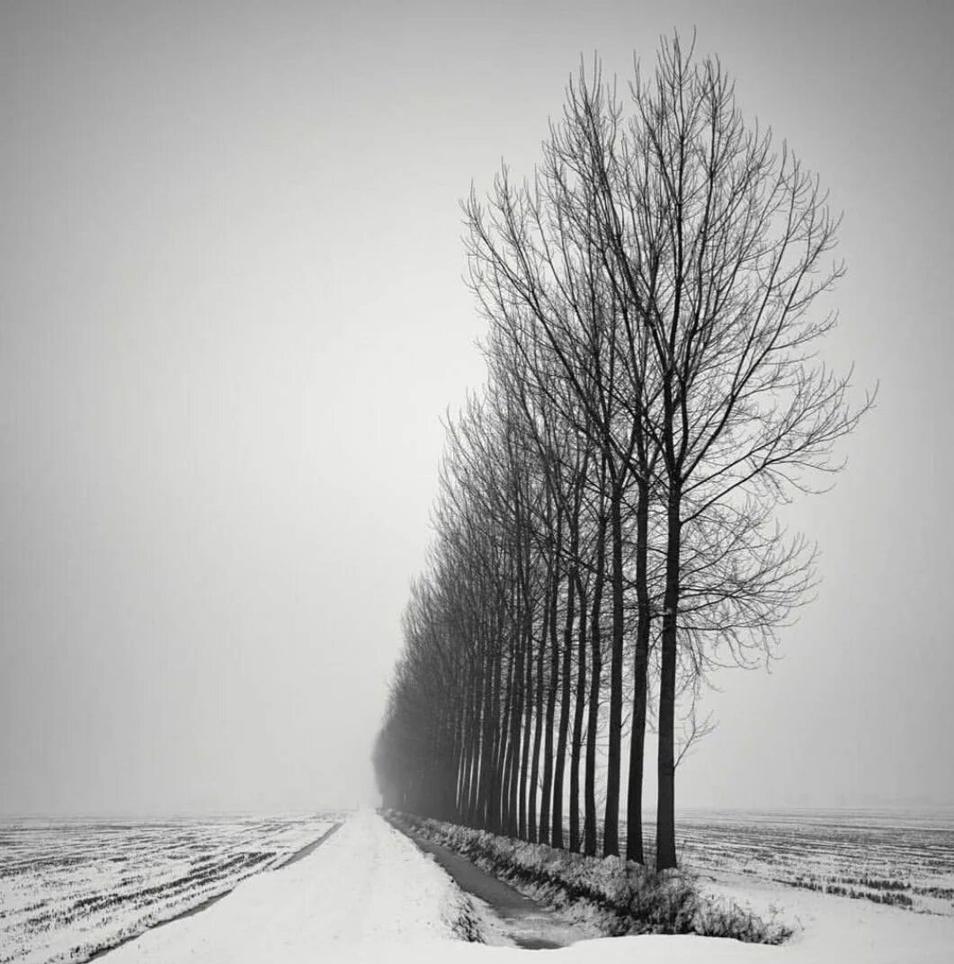 Черно белый пейзаж. Мрачный пейзаж. Серая осень. Серый пейзаж. Монохромный пейзаж.