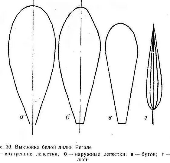 Форма листьев лилии. Лепестки лилии из изолона. Трафареты лепестков цветов. Лепесток лекало. Шаблон лепестков лилии.