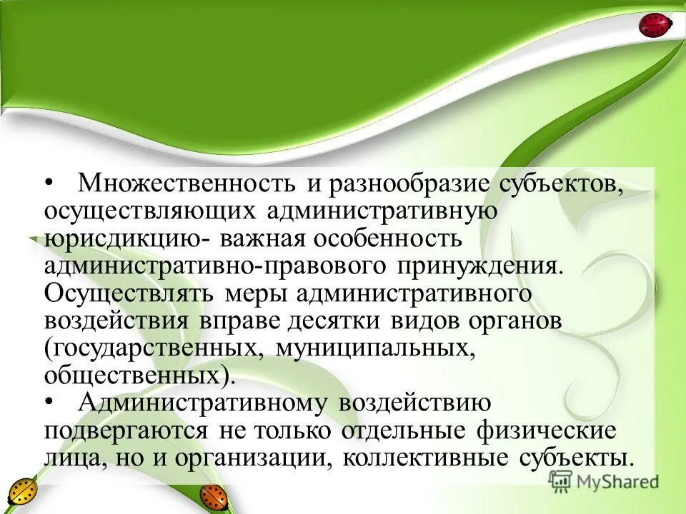 Меры административно правового воздействия