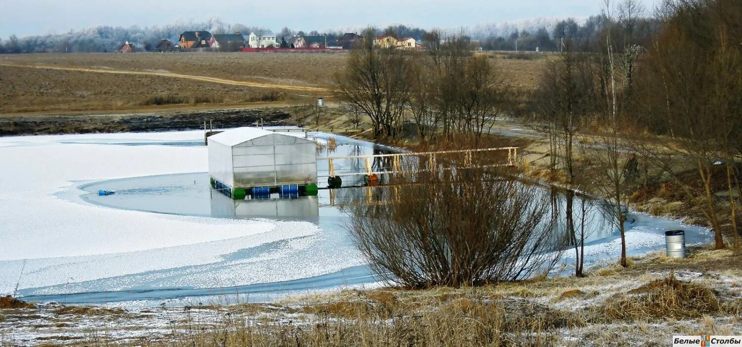 Озеро белые столбы Оренбург. Белые столбы пруд. Белые столбы Домодедово озера. Глубокий пруд белые столбы.