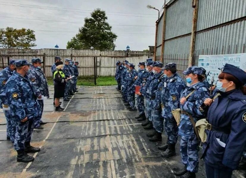Фку ик 1 гуфсин. Сизо 2 гуфсин россии по пермскому краю. фку сизо-2 гуфсин россии по новосибирской области. фку сизо-1 гуфсин россии по пермскому краю. фку ик-12 гуфсин россии по пермскому краю.