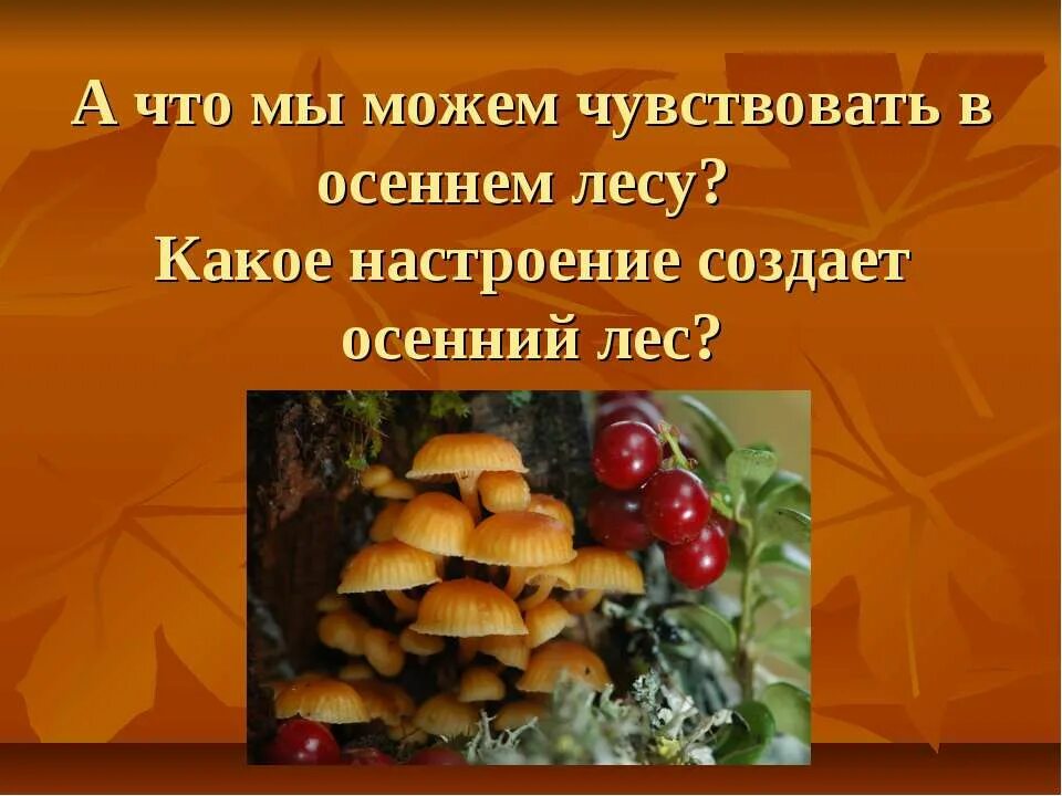 Какое чувство осени вызывает. Что можно почувствовать в осеннем лесу. Какие чувства может вызывать осенний лес. По осеннему лесу какой вид управления. Что чувствуешь в осеннем лесу носом.