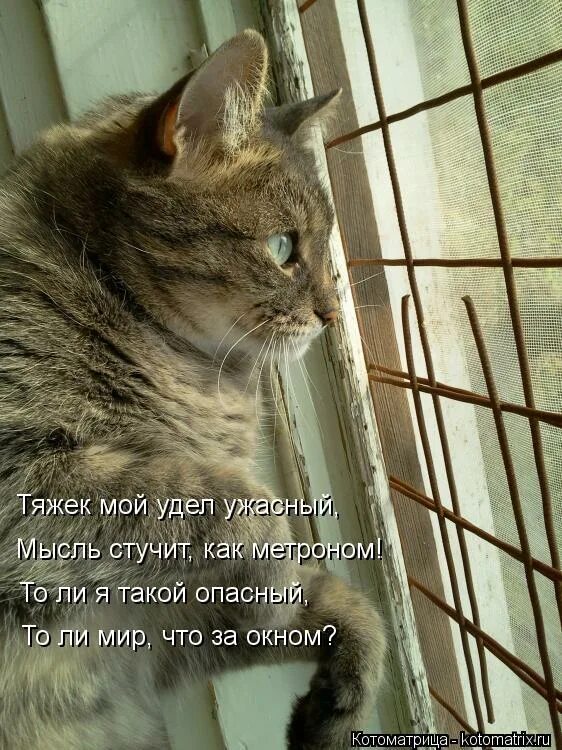 Nanny nightmare (2017 lifetime). Мелодрамы 2017. Эgo - я люблю тебя. Gadar куда пропал. Hush little baby фильм 2004.