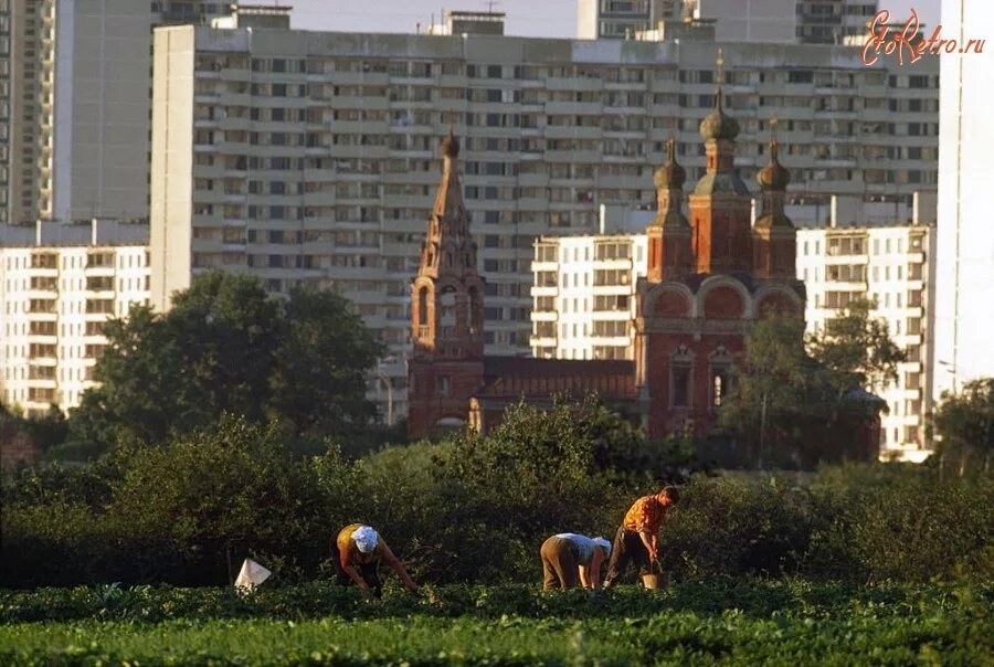Юго западная теплый стан