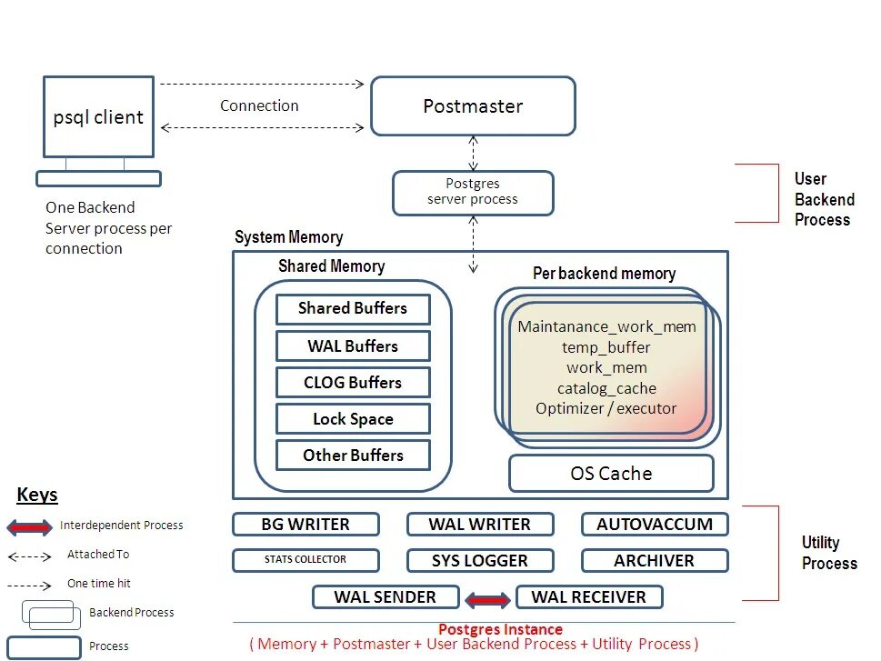 Postgres connections. Структура субд postgresql. архитектура субд postgresql. postgresql архитектура бд. архитектура памяти postgresql.