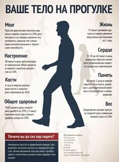 Почему полезно выходить на прогулку регулярно Health and fitness articles, Sport
