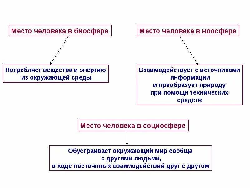 Место человека в биосфере. Месточеловнкп в биосфере. Место и роль человека в биосфере. Каково место человека в биосфере. Человек является частью биосферы докажите правильность этого