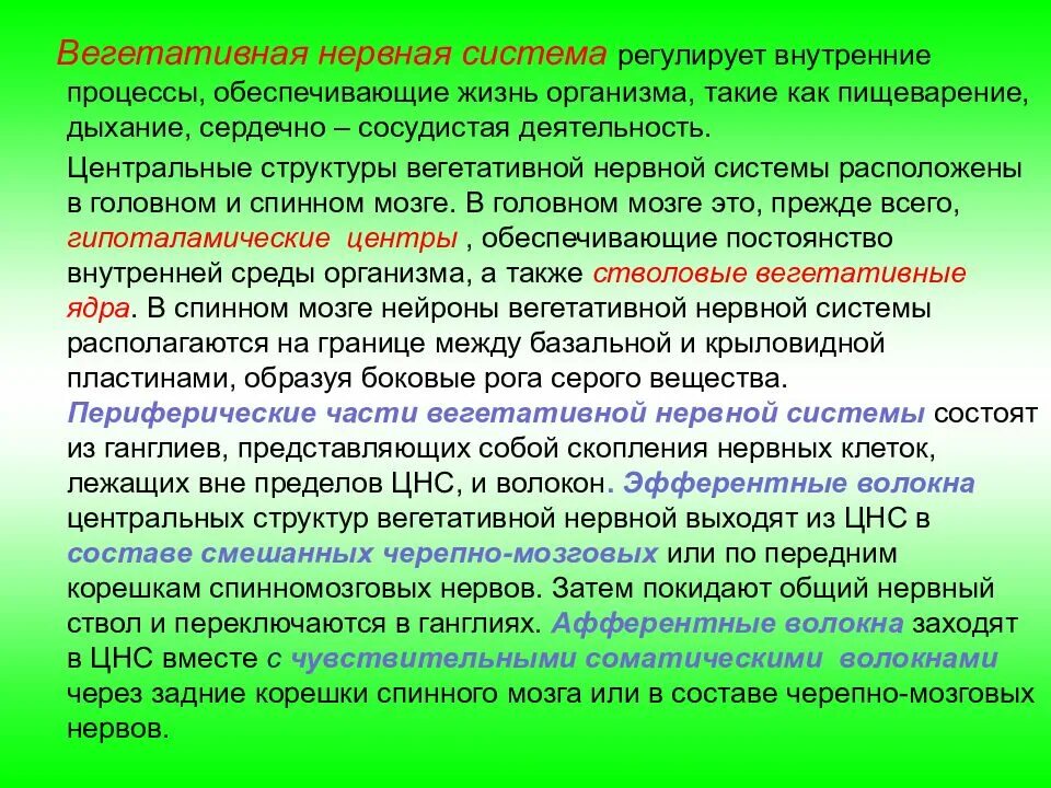 Нервная регуляция вегетативной системы функции. Вегетативная нервная система. Вегетативная система процессы. Функция вегетативной нервной системы состоит в регуляции. Вегетативные процессы нервной системы это.