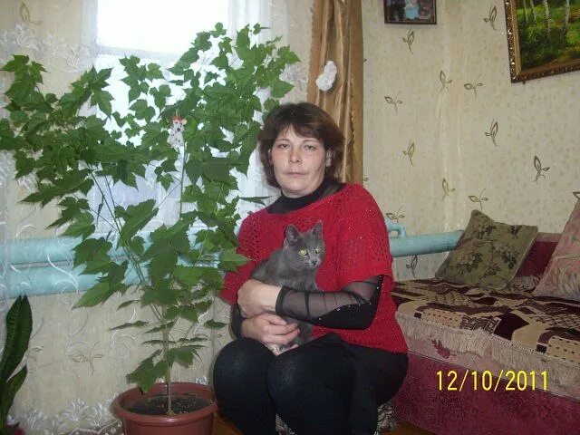 Устюба буздякский. Килимово буздякского. Зиля хайруллина. Погода большая устюба буздякский. Погода большая устюба буздякский.